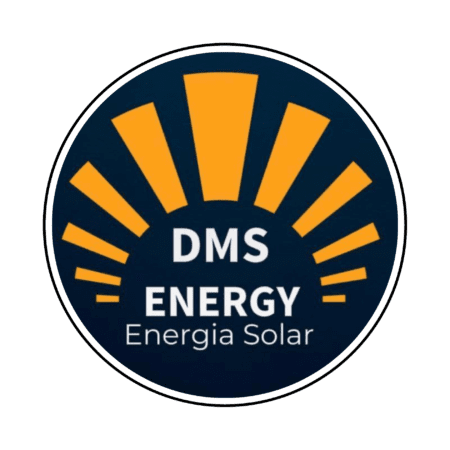 DMS ENERGY LOGO